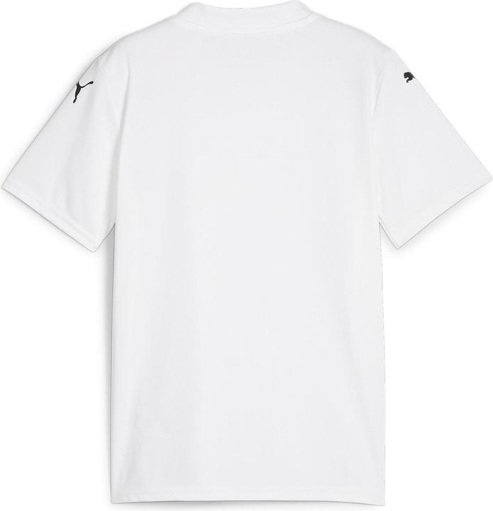 Produktbild Puma teamGLORY Jersey Jr (116)