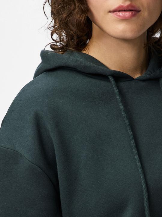 Image du produit Pieces Pcchilli Ls Hoodie Noos Bc (XL)