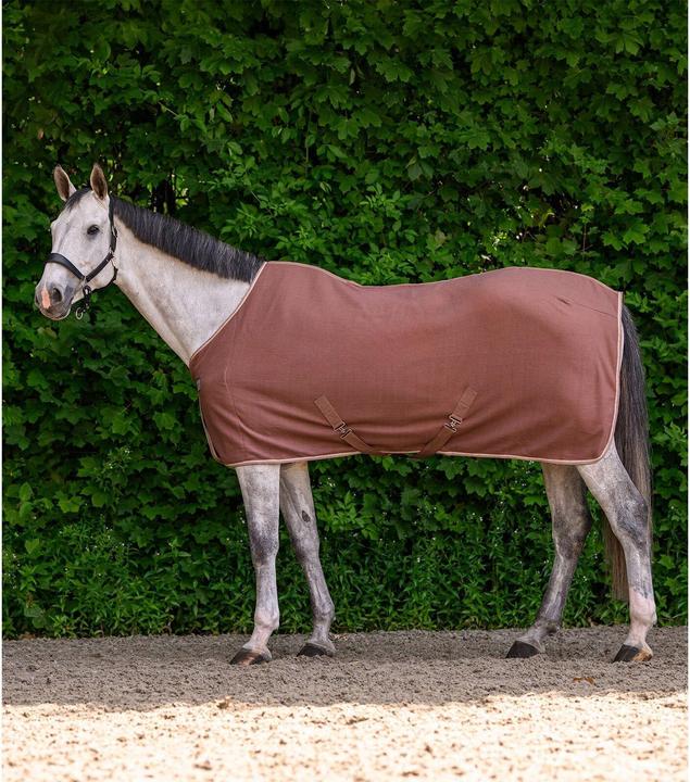 Produktbild Waldhausen Economic (145 cm)