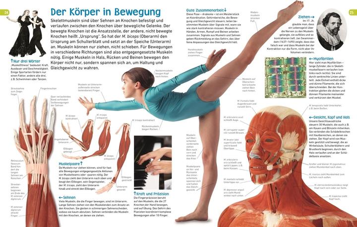 Actual product image memo Wissen entdecken. Der Körper (German, Sibylle Tönjes, 2018)