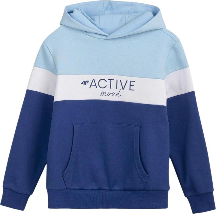 Produktbild 4F HJL22 JBLD002 Kapuzenpullover (134)