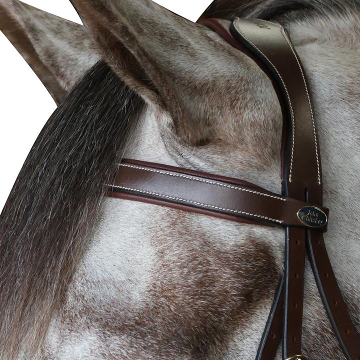 Actual product image Pick N Mix Leather Flat Horse Browband