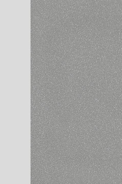 Produktbild Germania JET höhenverstellbarer Schreibtisch lichtgrau rechteckig, T-Fuss-Gestell silber 140,0 x 80,0 (140 x 72 cm)