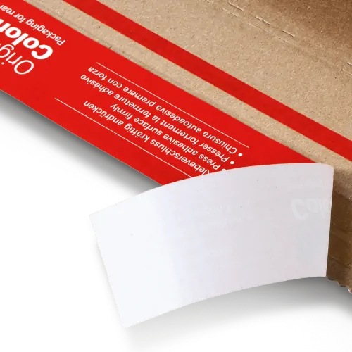 Produktbild Colompac CP141.301.010 Blitzbodenkarton 44,5x31,5cm V (10 x)