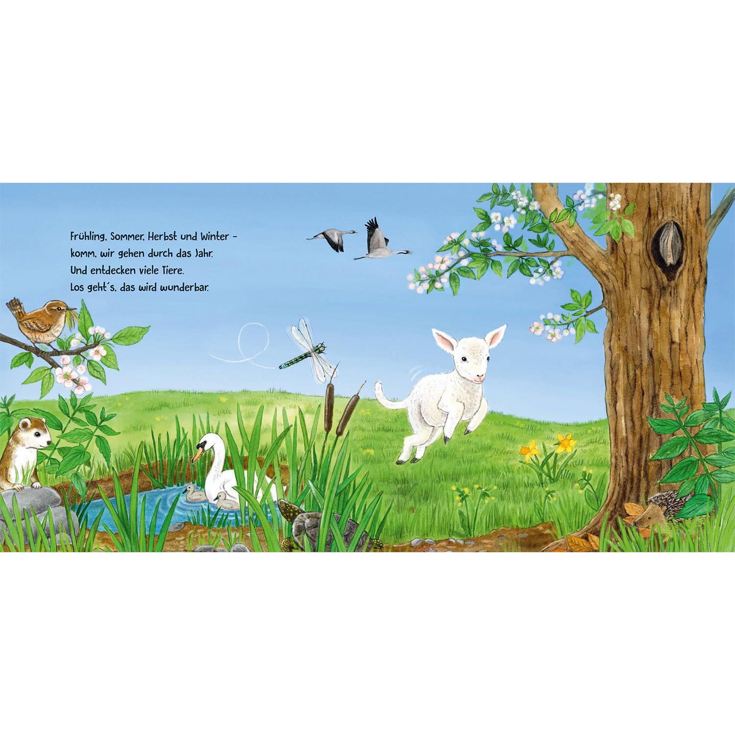 Thumbnail - Guck mal. Frühling, Sommer, Herbst und Winter, Kinderbücher von Regina Schwarz, Lisa Apfelbacher