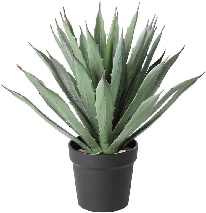 Immagine prodotto EGLO Kunstpflanze 36.5cm (36.50 cm)
