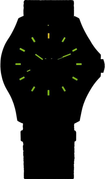 Immagine prodotto Traser 111066 (Fatto in Svizzera)