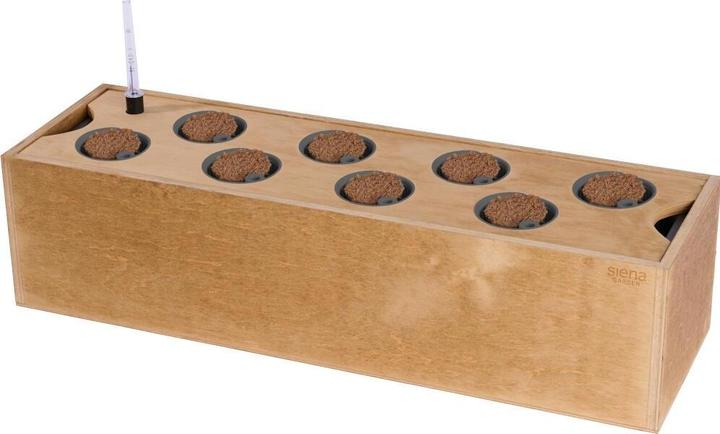 Siena Garden Hydroponikgefäss aus Holz