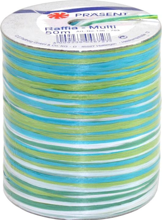 Actual product image Präsent Bast Multi (1x)