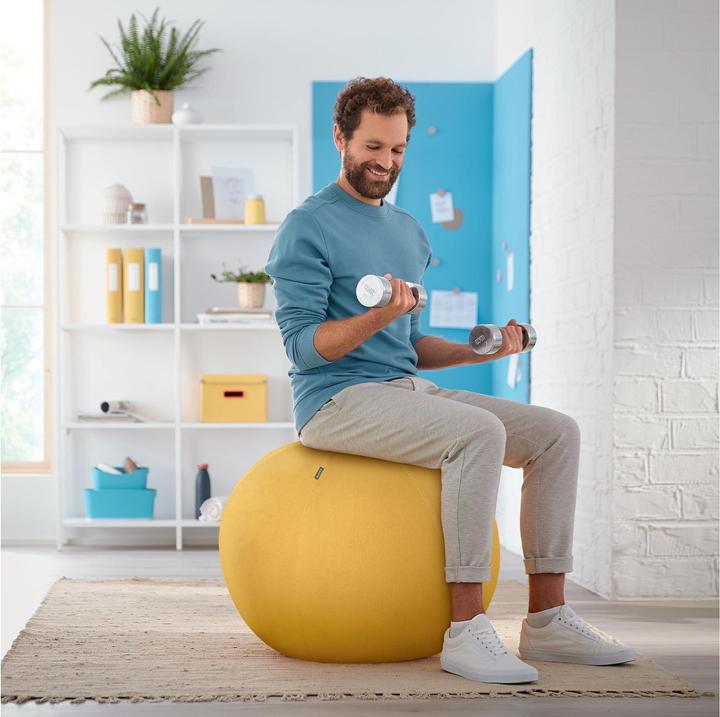 Image du produit Leitz Ballon-siège Ergo Cosy Active (65 cm)