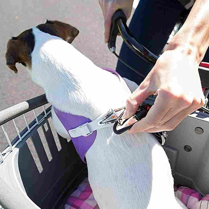 Produktbild Ferplast Atlas Bike 20 Rapid (Hund, Waschbar)