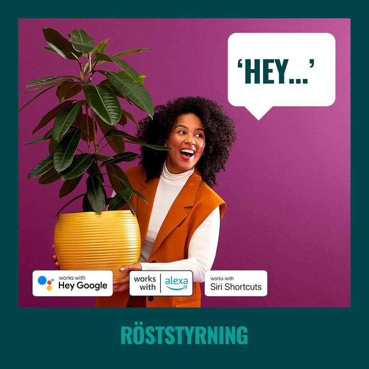 Actual product image WiZ String Lights (0.15 m)