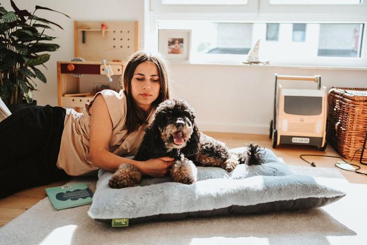 Actual product image Hunter Hundebett Rockford Grau 80x60 cm (Dog)