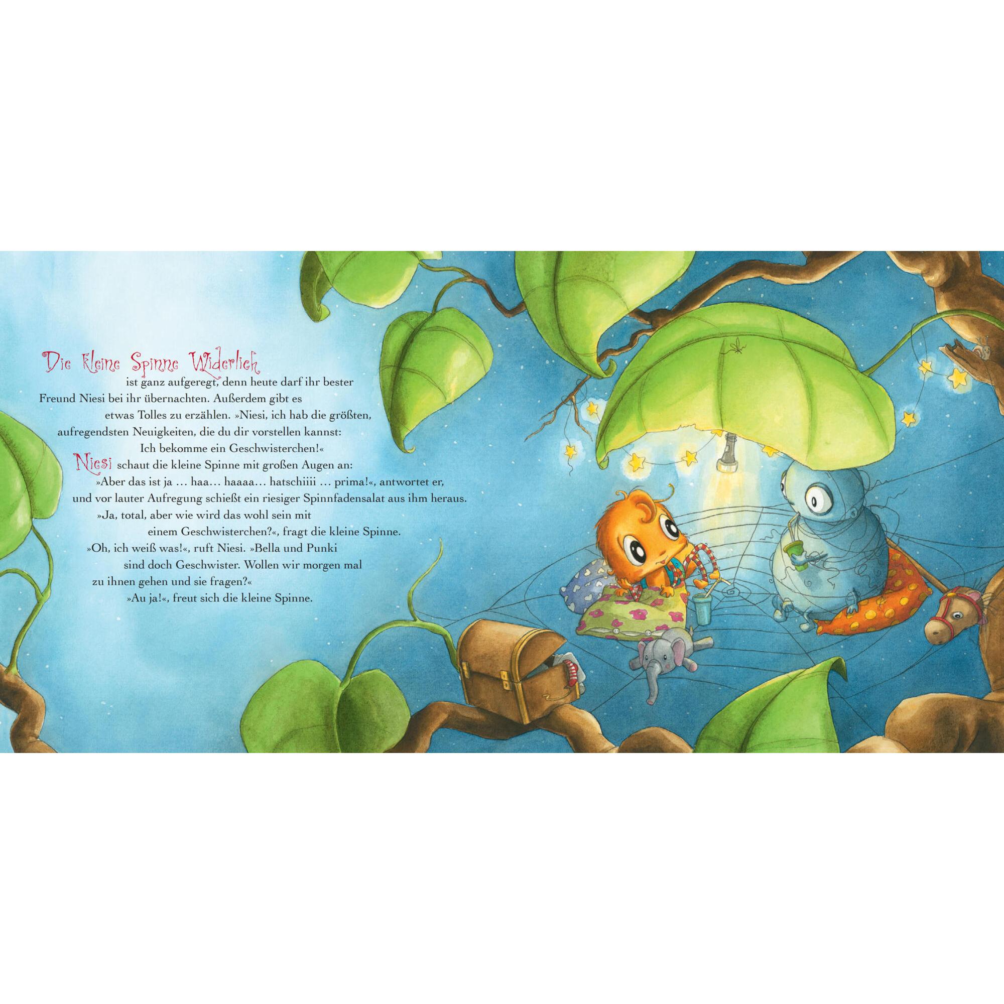 Thumbnail - Die kleine Spinne Widerlich - Das Geschwisterchen Pappbilderbuch, Kinderbücher von Diana Amft