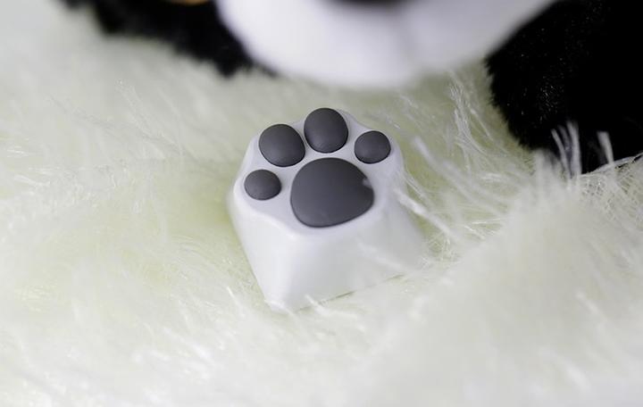 Actual product image Varmilo Panda Paw