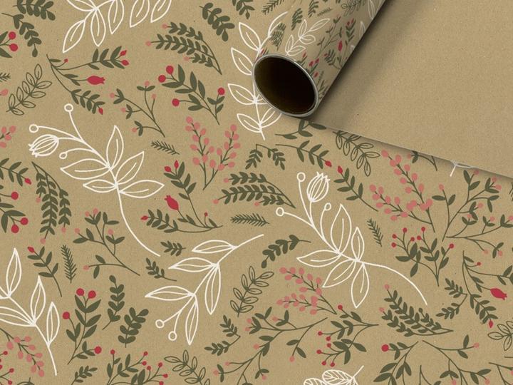 Image du produit Stewo Papier cadeau (1x)