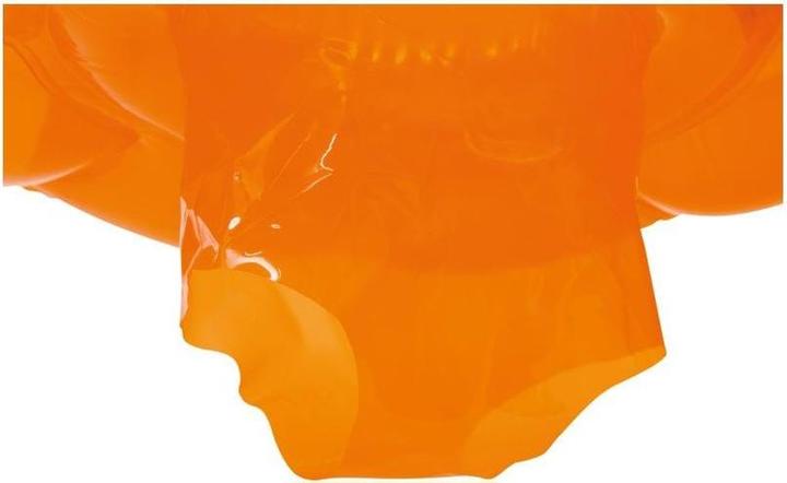 Produktbild Flipper Swimmsafe Flipper Swimsafe Schwimmsitz