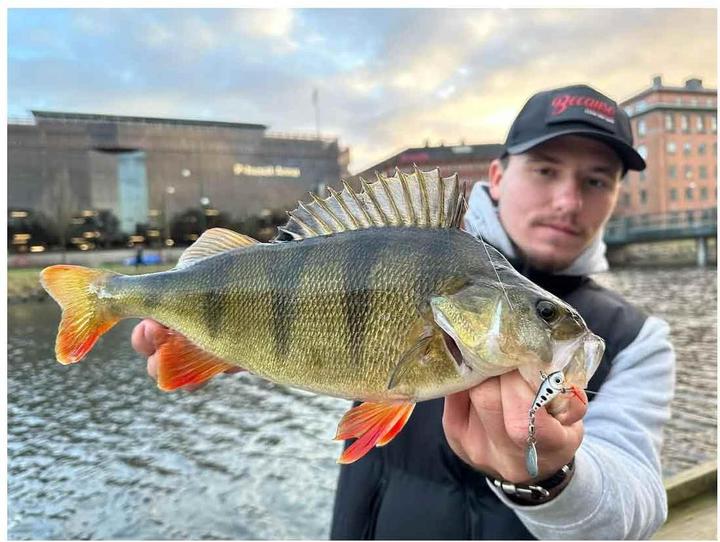 Immagine prodotto Stucki Fishing Spin Scorer (7.60 cm)