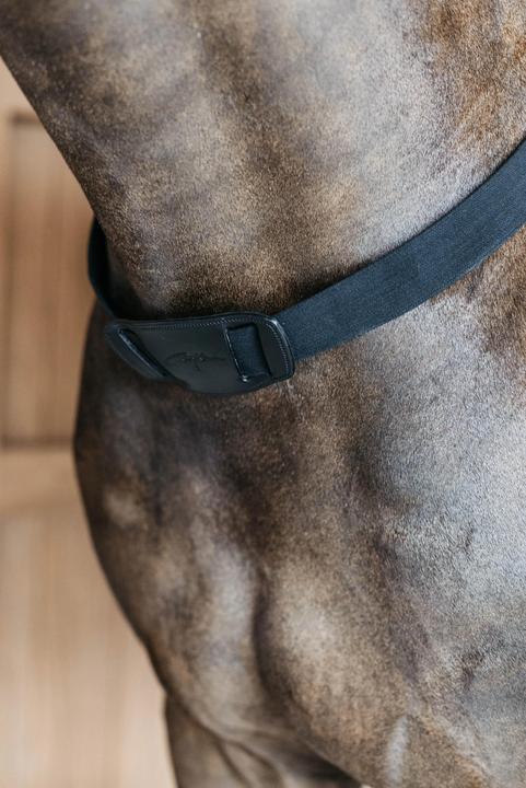 Actual product image Dy'on Elastic breastplate