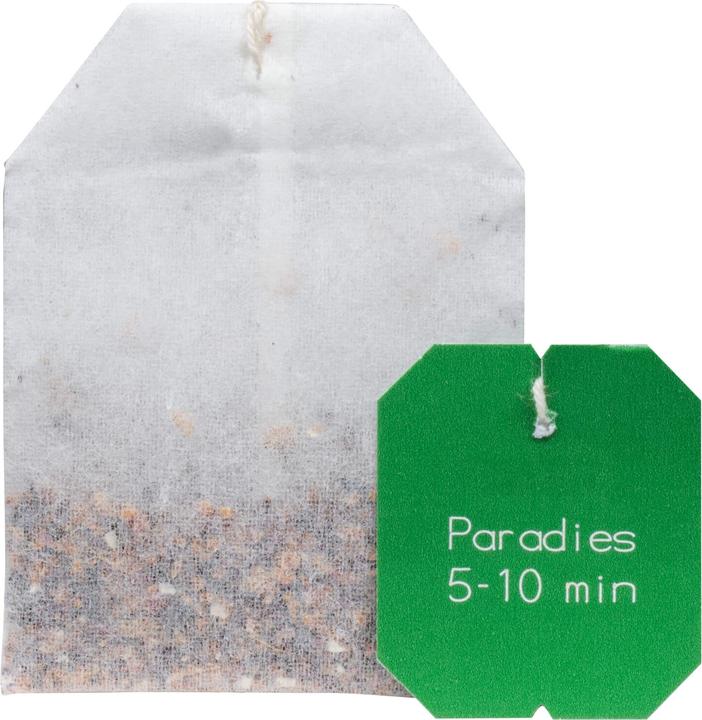 Actual product image Salus Paradiestee Bio mit Vitamin C (74 g)