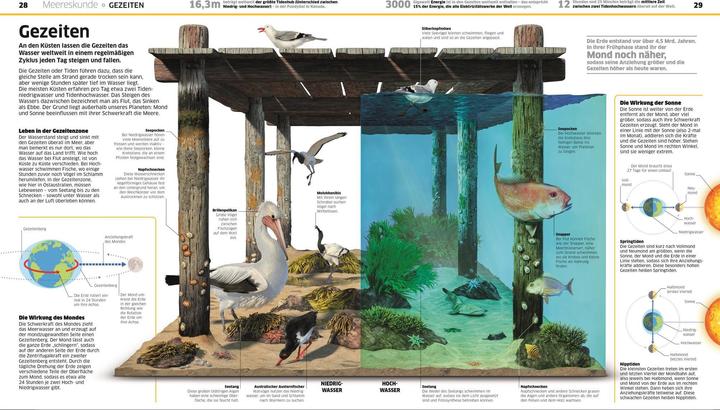 Actual product image Wissen. Ozeane (German, John Woodward, Derek Harvey., Nicola Temple, 2021)