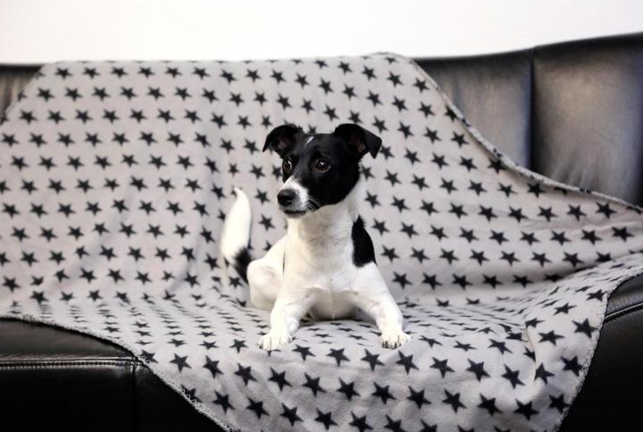 Image du produit Kerbl Stella (Chat, Chien)