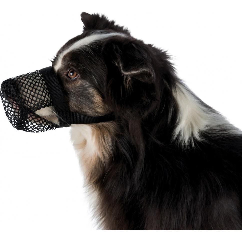 Thumbnail - Trixie Giftköder-Schutznetz, Polyester (XL, Hund, Allgemein), Halsband + Leine