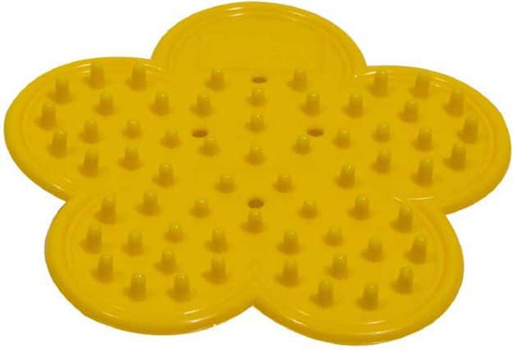 Image du produit Oasis Élimination des feuilles et des épines