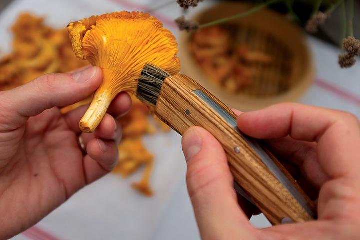 Image du produit Baladéo Couteau à champignons (7.20 cm)