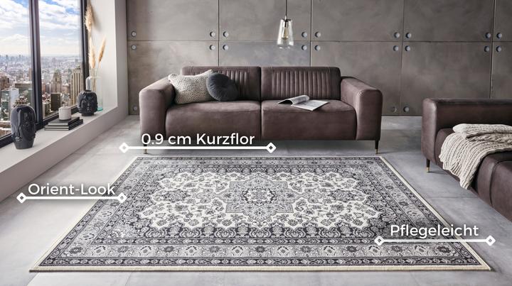 Produktbild Hanse Home Parun Tabriz (170 x 120 cm)
