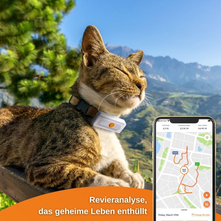Produktbild Weenect GPS-Tracker für Katzen