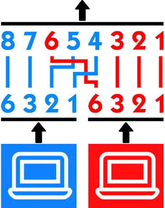 Actual product image Intellinet 504195 (Network cable)