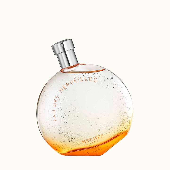 Image du produit Hermès Eau de Merveilles (Eau de toilette, 100 ml)