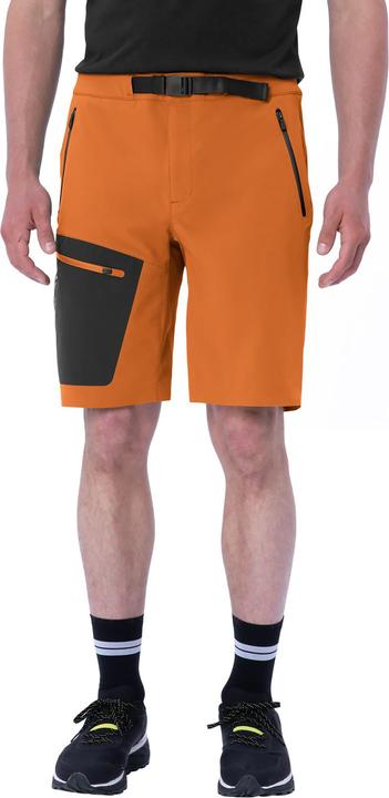 Actual product image Vaude Badile Shorts (46)