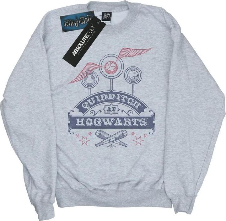 Actual product image Boys Quidditch At Hogwarts Sweatshirt (140, 146)
