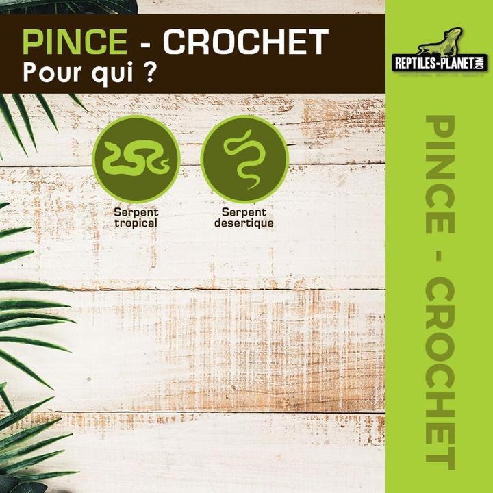 Produktbild Reptiles-Planet Protect