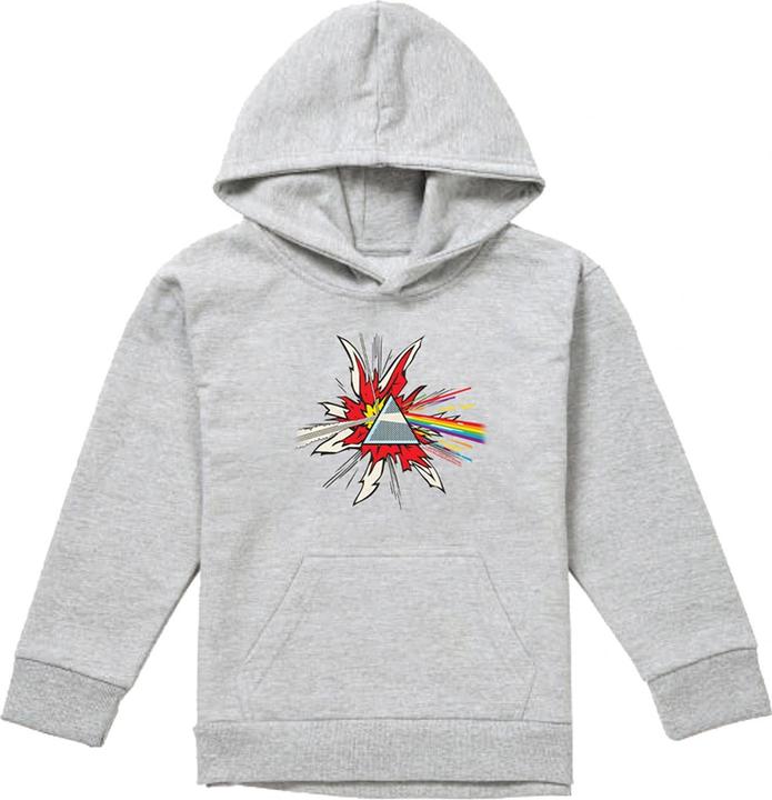 Produktbild Pink Floyd Dark Side Of The Moon Immersion Kapuzenpullover meliert (128)