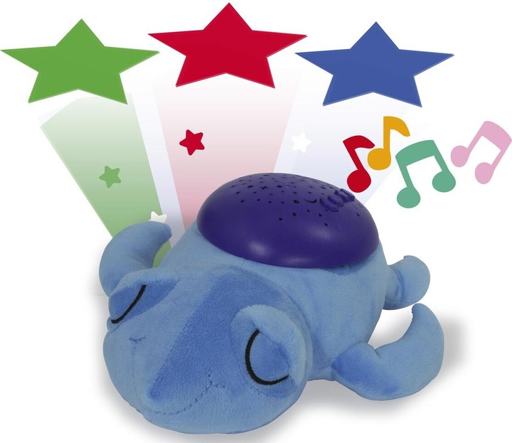 Dreamy turtle