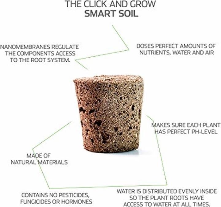 Actual product image Click and Grow Red basil (Herb seeds)