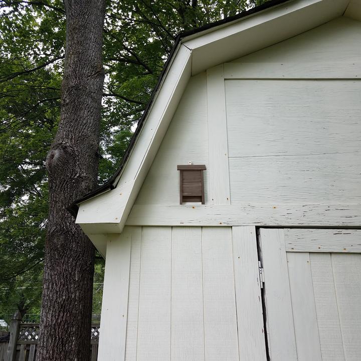 Produktbild Relaxdays Fledermauskasten