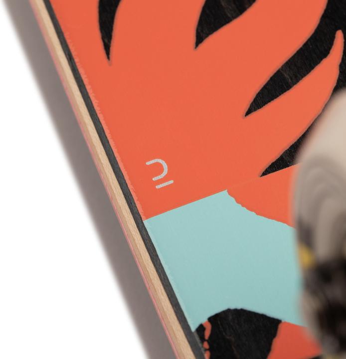 Produktbild Oxelo COMPLETE 500 (8")