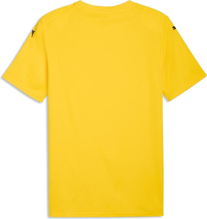 Produktbild Puma teamFINAL Graphic Jersey (L)