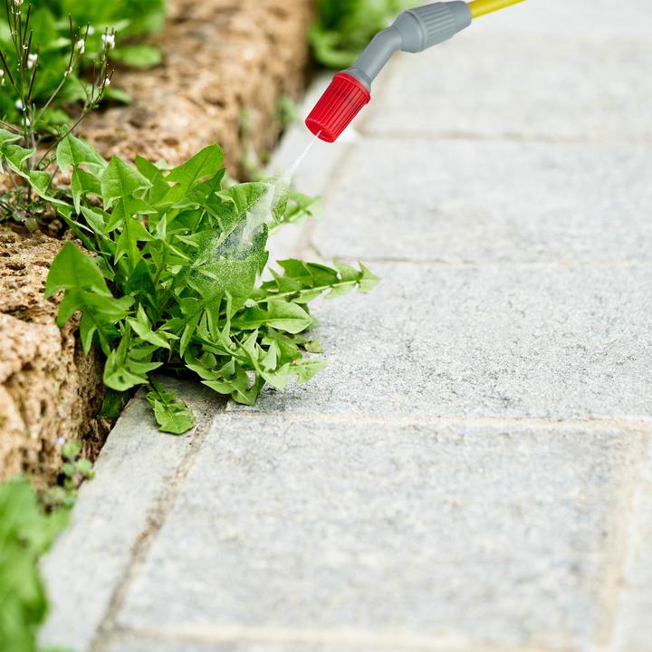 Produktbild Relaxdays Drucksprüher (5 l)