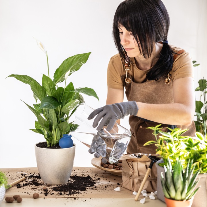 Actual product image Relaxdays 6x clay cone (Clay cone irrigation)