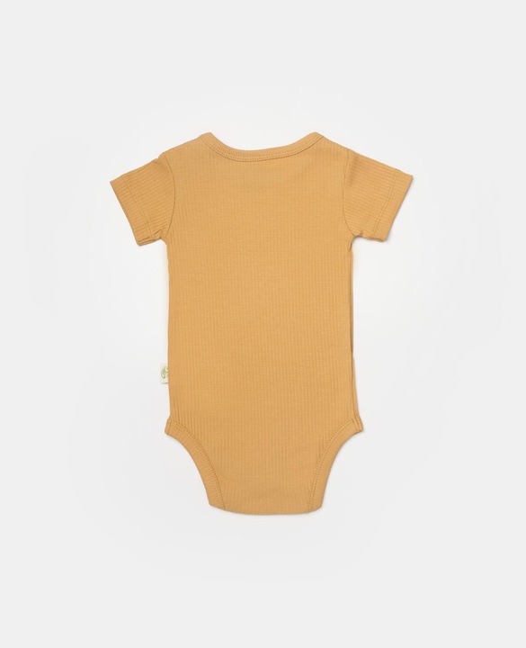 Actual product image BabyCosy 2 Pcs short sleeved Body (74)