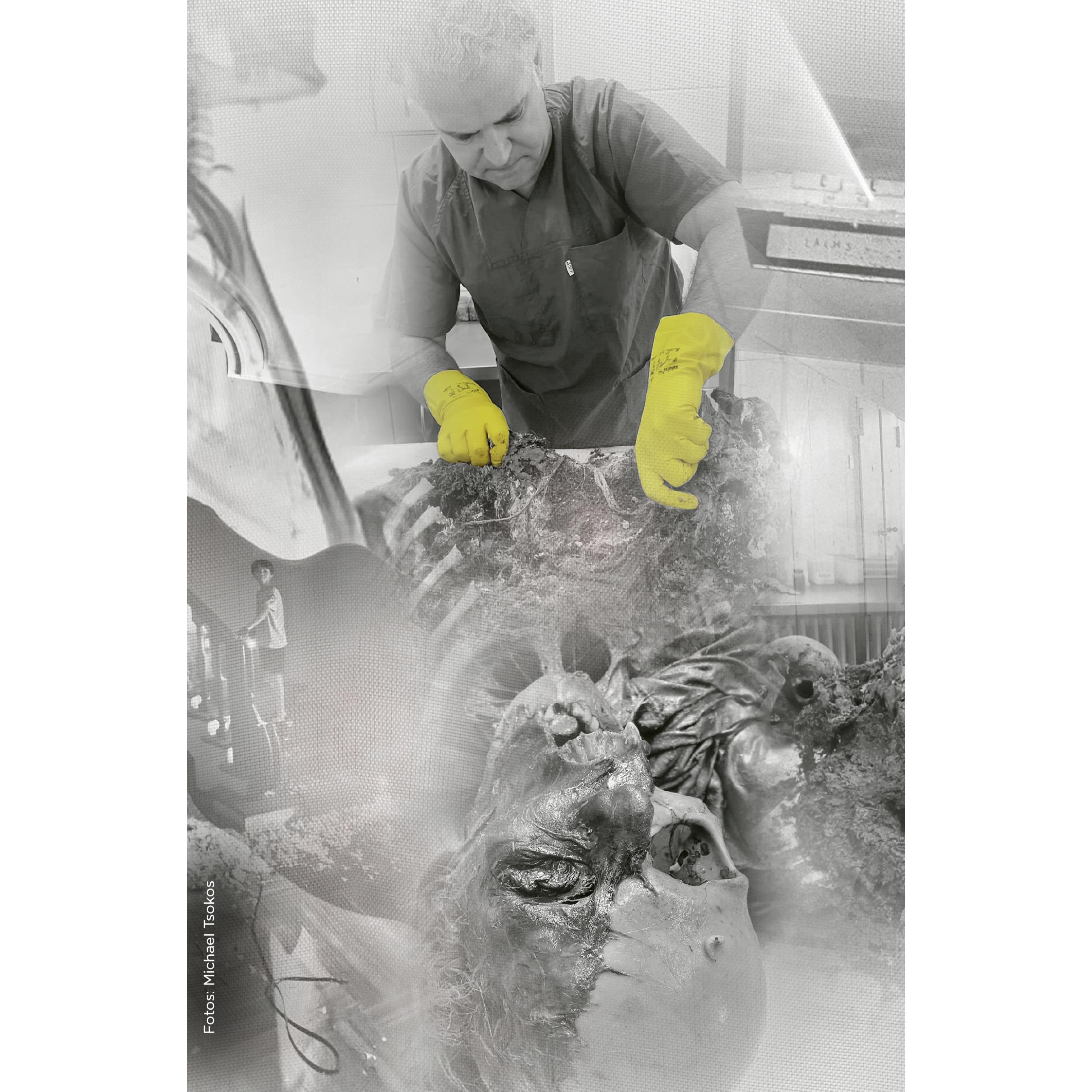 Thumbnail - Mit kalter Präzision, Belletristik von Michael Tsokos