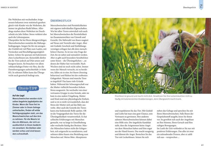 Actual product image Neugierige Meerschweinchen - So fühlen sie sich wohl (German, Immanuel Birmelin, 2015)