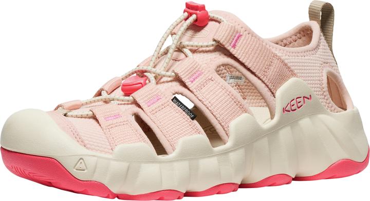 cameo rose/dubarry, Pink