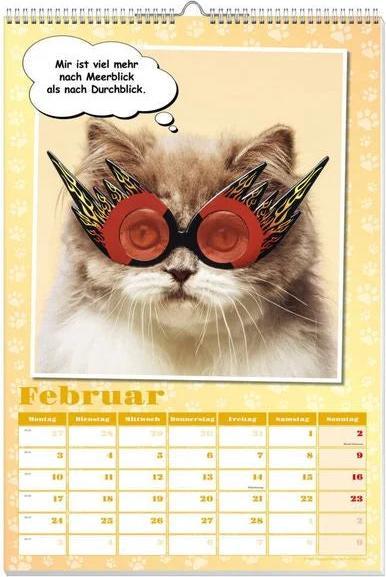 Produktbild Coole Katzen Posterkalender 2025