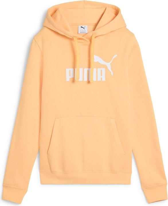 Actual product image Puma ESS No. 1 Logo Hoodie FL (s) (L)